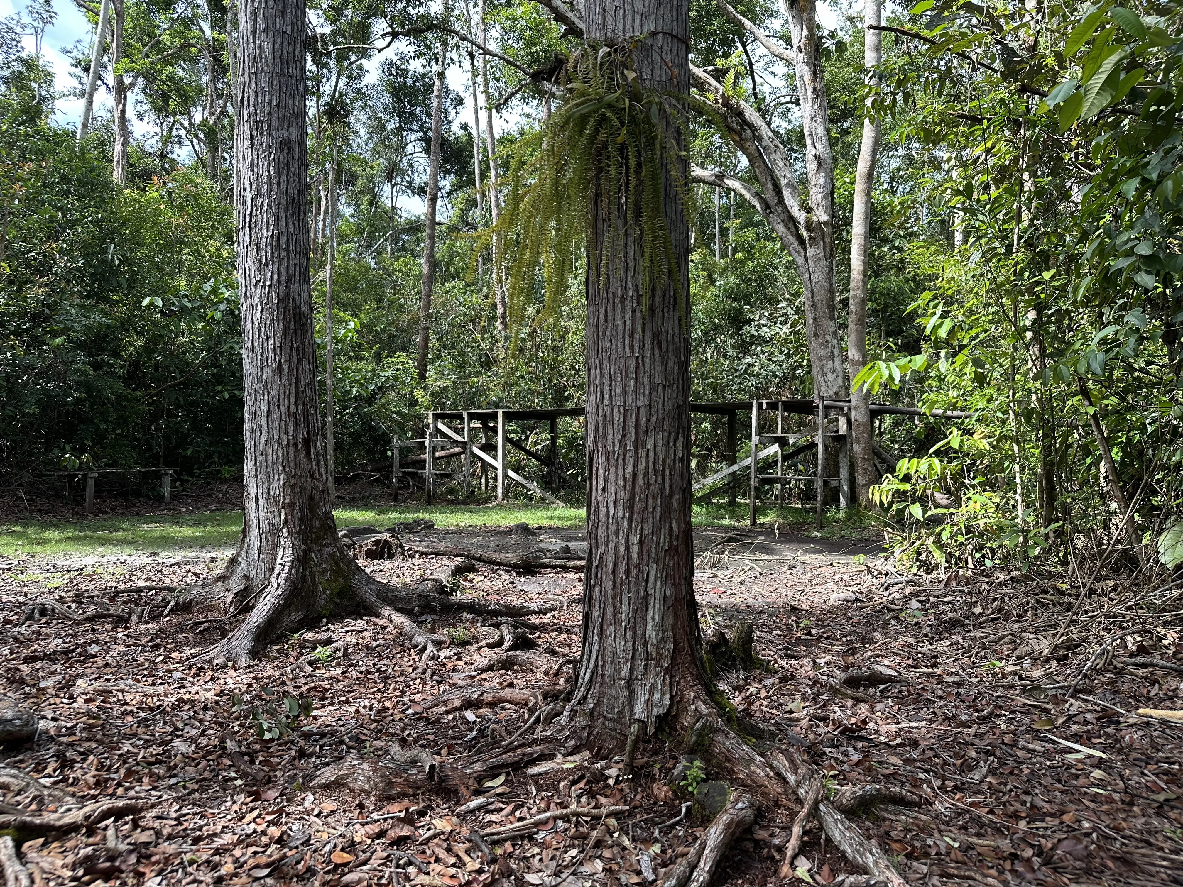 Camp Lakey Feeding Area