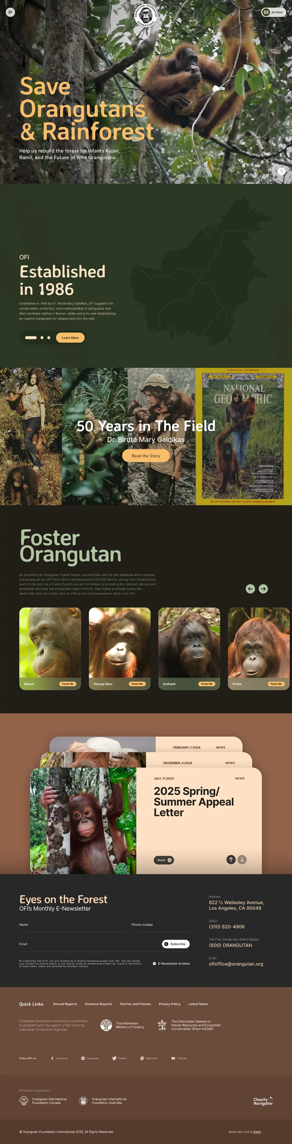 Orangutan Foundation International Website - Final Design