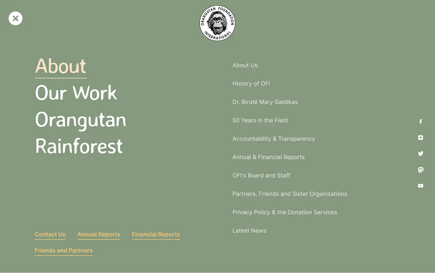 Orangutan Foundation International Website - Navigation 1