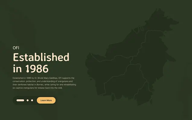 Orangutan Foundation International Website - Block 1