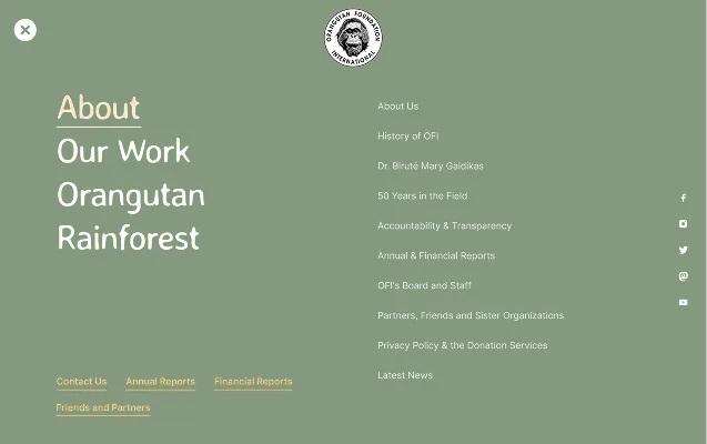 Orangutan Foundation International Website - Block 2