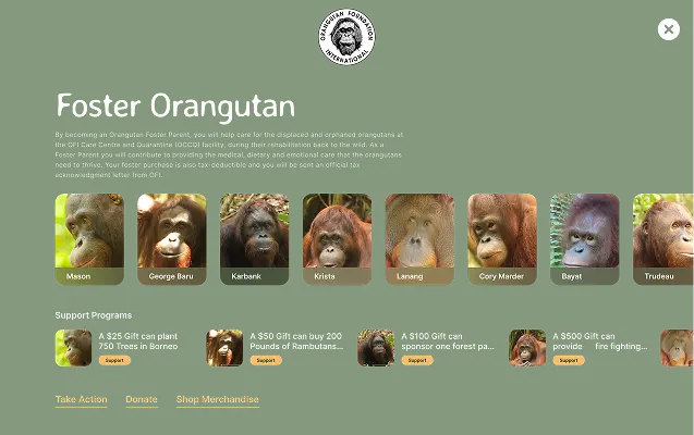 Orangutan Foundation International Website - Block 3