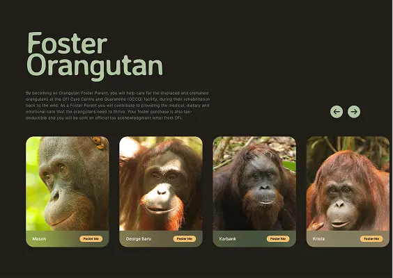 Orangutan Foundation International Website - Block 5