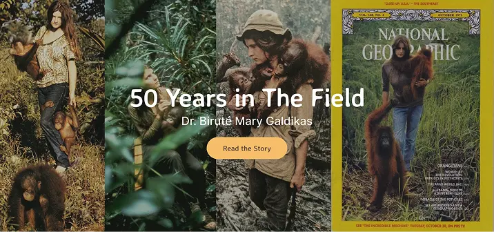 Orangutan Foundation International Website - Block 6