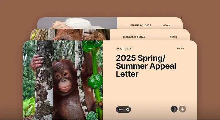 Orangutan Foundation International Website - Block 7