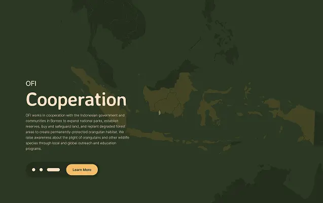 Orangutan Foundation International Website - Block 8