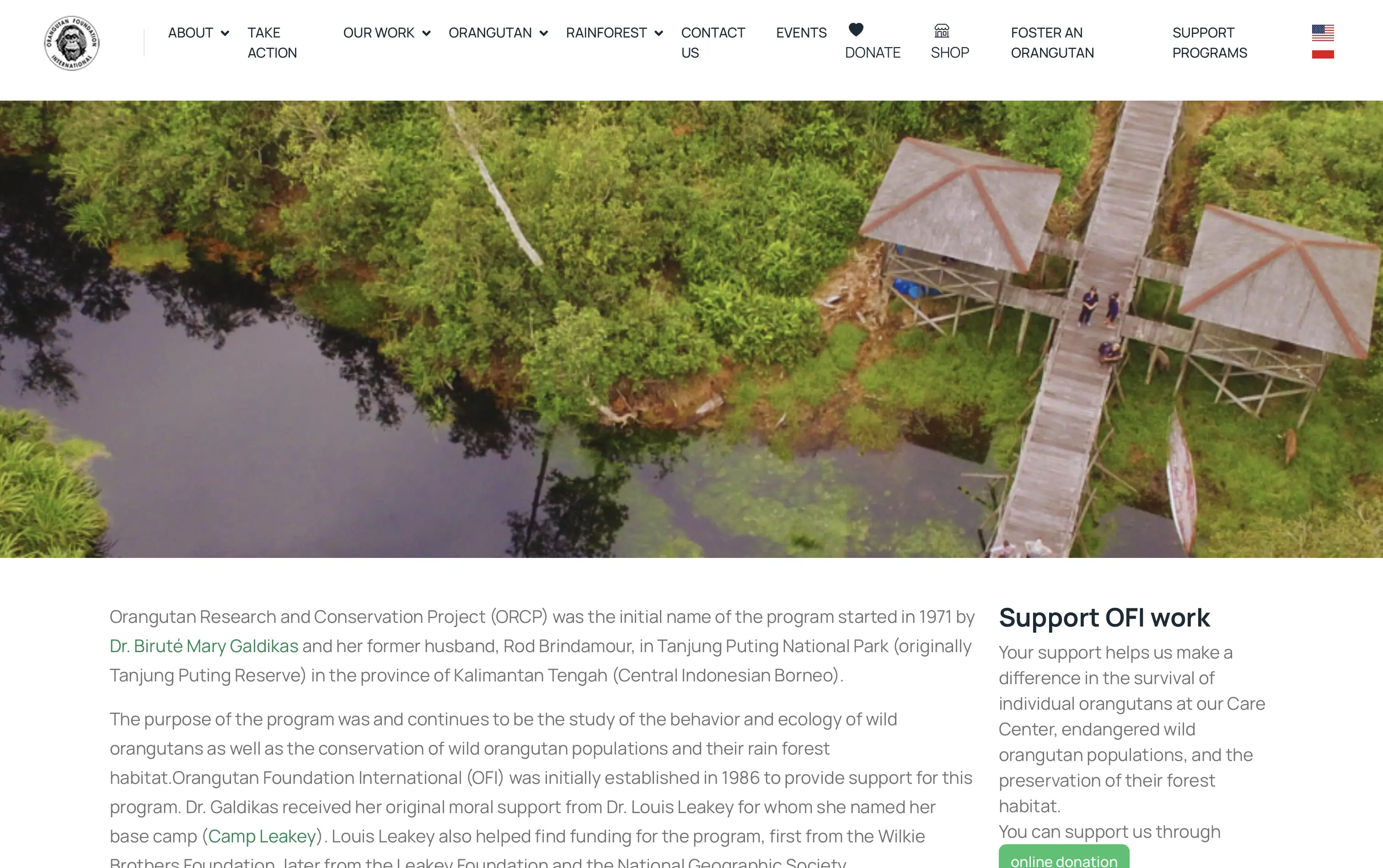 Orangutan Foundation International Website - Page 3